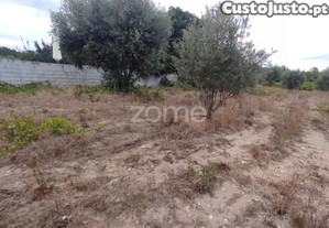 Terreno Penalva do Castelo
