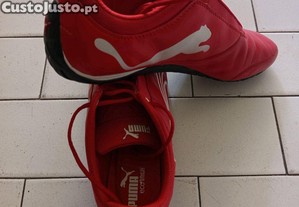 imagem_5