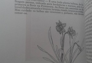 imagem_5