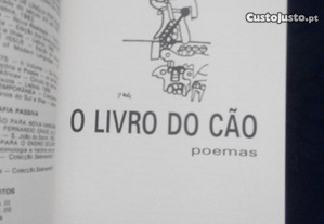 imagem_5