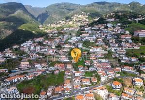 imagem_14