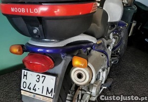 imagem_3