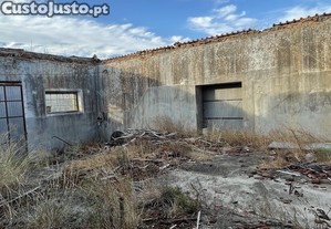 imagem_7