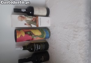 imagem_6