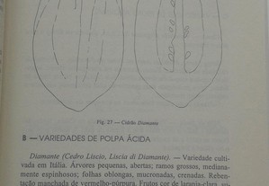 imagem_6
