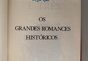 imagem_3