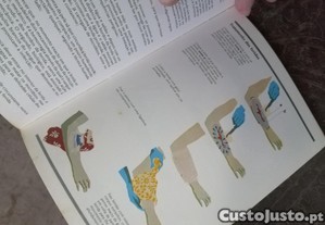 imagem_6
