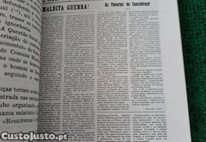 imagem_7