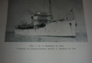 imagem_2