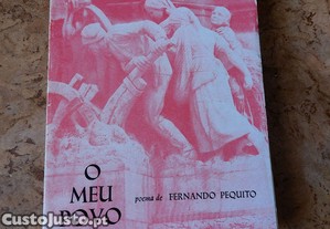 imagem_3
