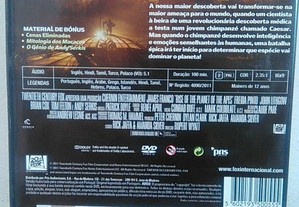 imagem_11