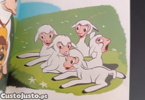 imagem_2