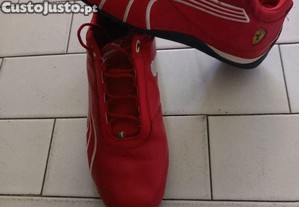 imagem_6