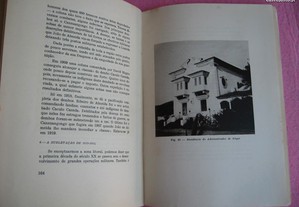 imagem_7