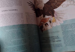 imagem_6