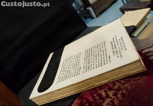 imagem_10