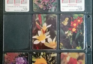 Calendários da colecção de 75 flores da editora Manil em 1992   0,50 cada