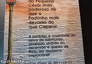 imagem_7
