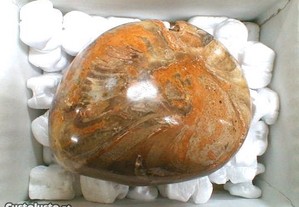 Fragmento polido fóssil 10,5x8x6cm