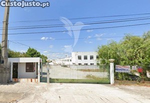 imagem_3