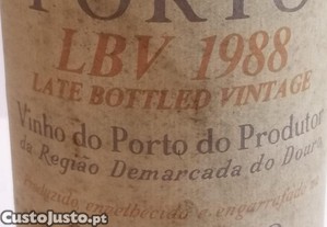 imagem_7