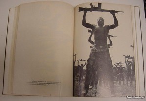 imagem_5