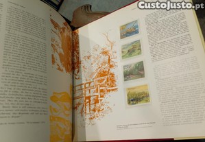imagem_5
