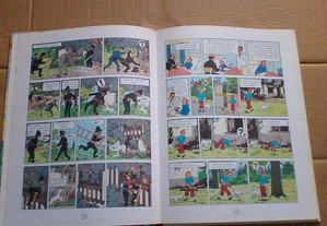 imagem_6