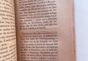 imagem_4