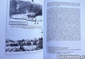 imagem_7