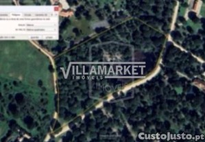 imagem_6