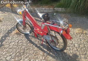 imagem_4