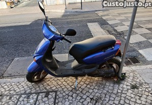 imagem_1