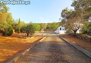 imagem_8