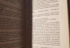 imagem_4