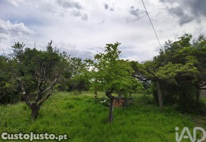 imagem_11
