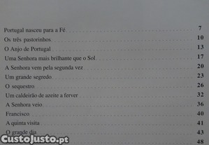 imagem_8