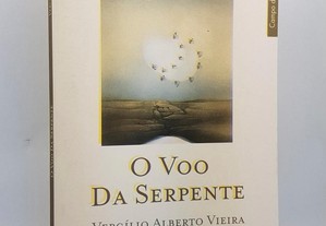 POESIA Vergílio Alberto Vieira // O Voo da Serpente