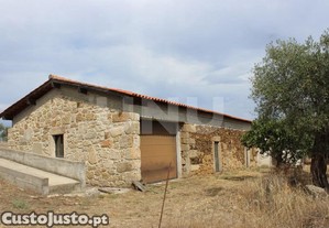 Quinta T1 Castelo Branco