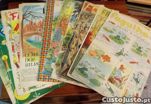BD Revistas Fagulha 11 unidades
