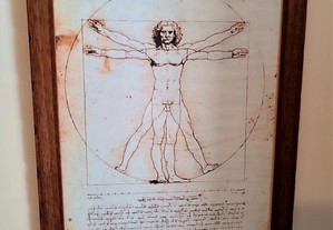 Quadro "O Homem Vitruviano" de Leonardo Da Vinci