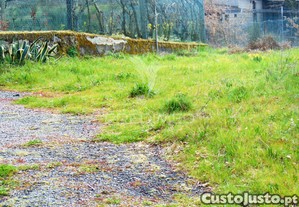 imagem_12