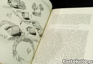imagem_6