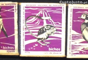 imagem_3