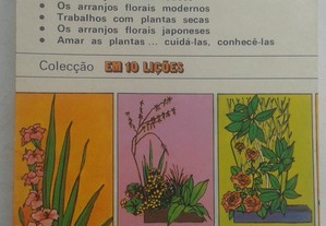 imagem_7