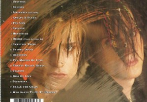 imagem_2