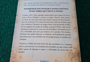 imagem_2