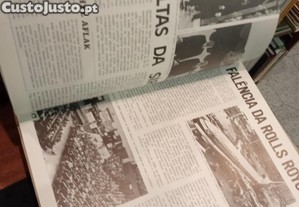 imagem_7