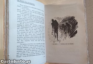 imagem_8