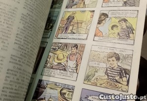 imagem_2